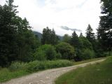 Image of landscape