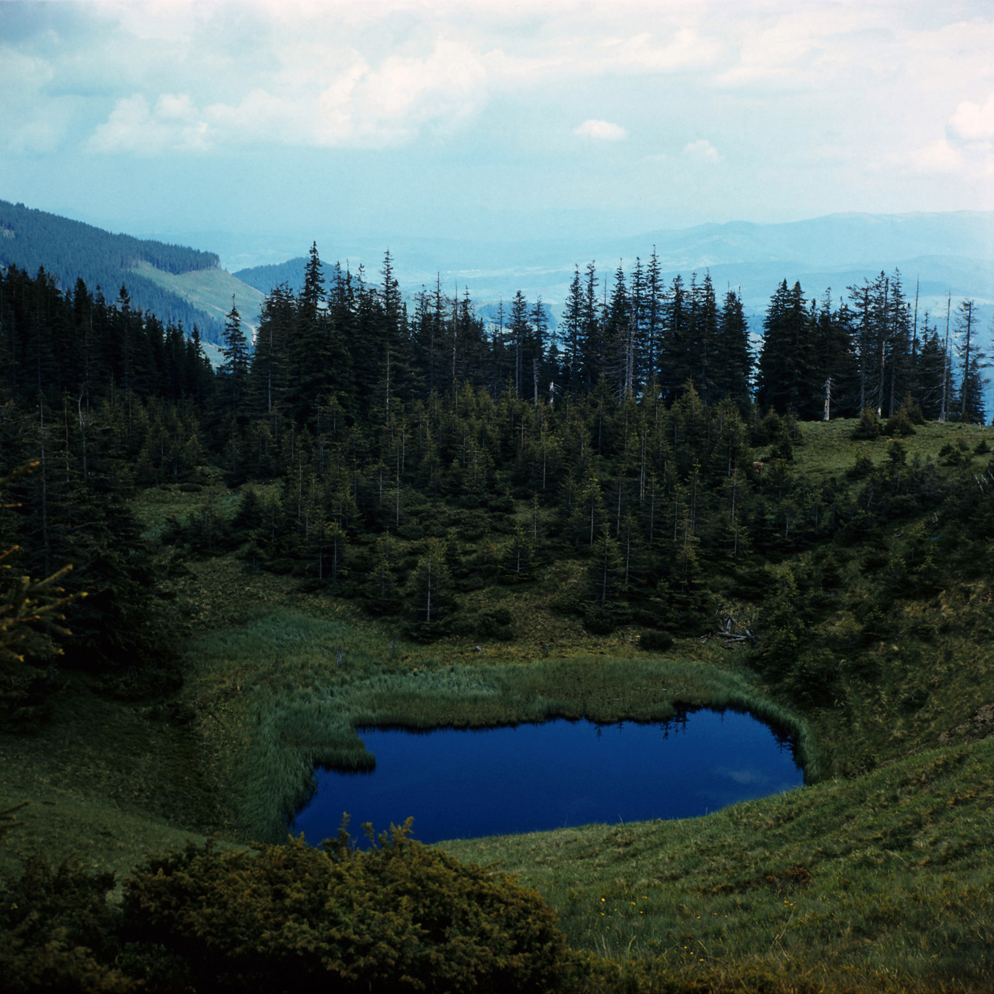 Три Близнеца, image of landscape/habitat.
