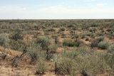 Image of landscape