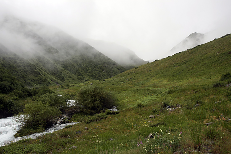 Ущелье Коксай, image of landscape/habitat.
