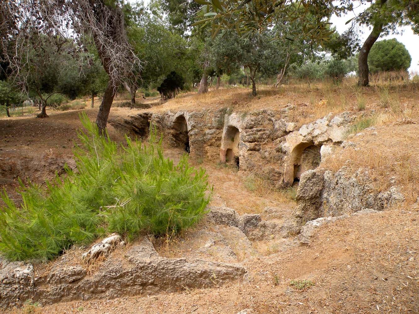 Кфар-Шмариягу, image of landscape/habitat.