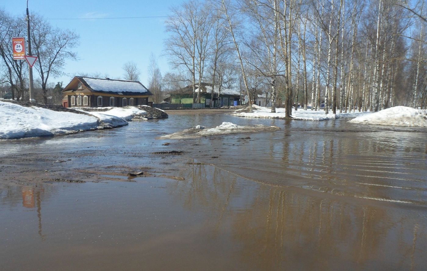 Весьегонск, image of landscape/habitat.