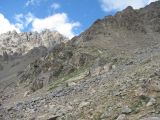 Image of landscape