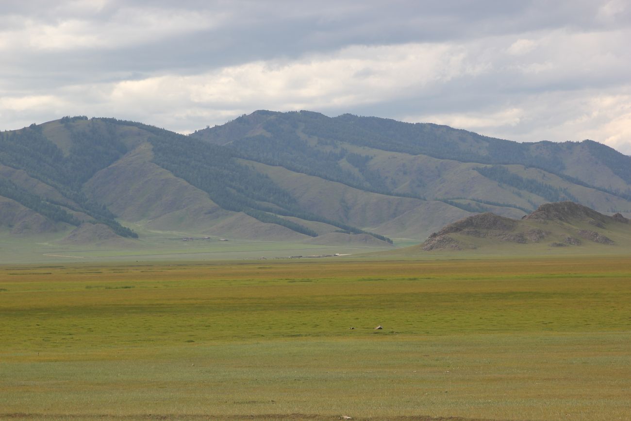 Окрестности села Усть-Кан, image of landscape/habitat.