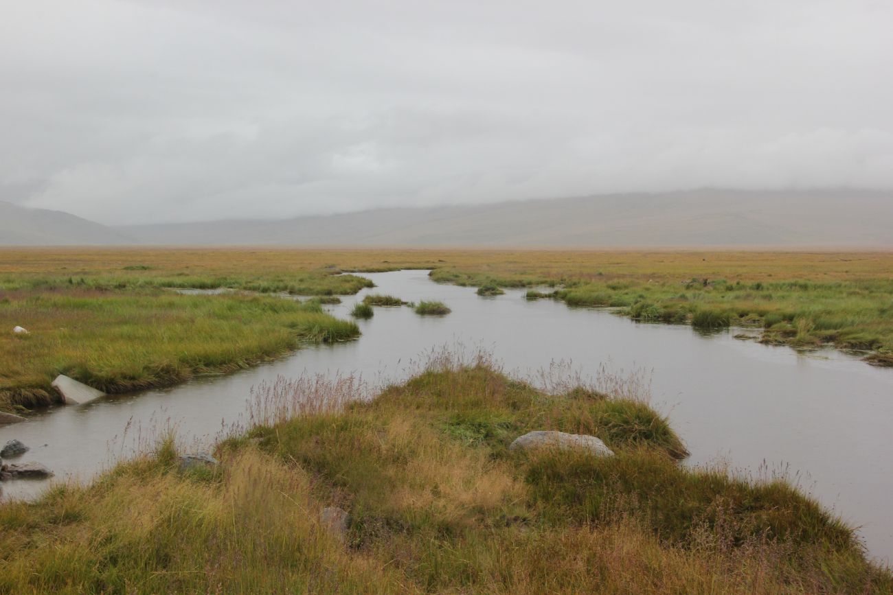 Окрестности Гусиного озера, image of landscape/habitat.