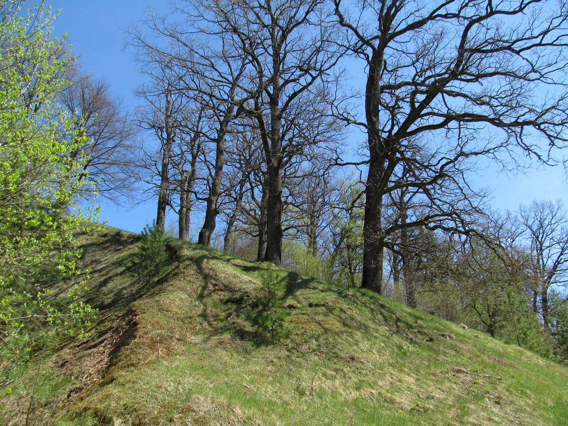 Городище Радогоща, image of landscape/habitat.