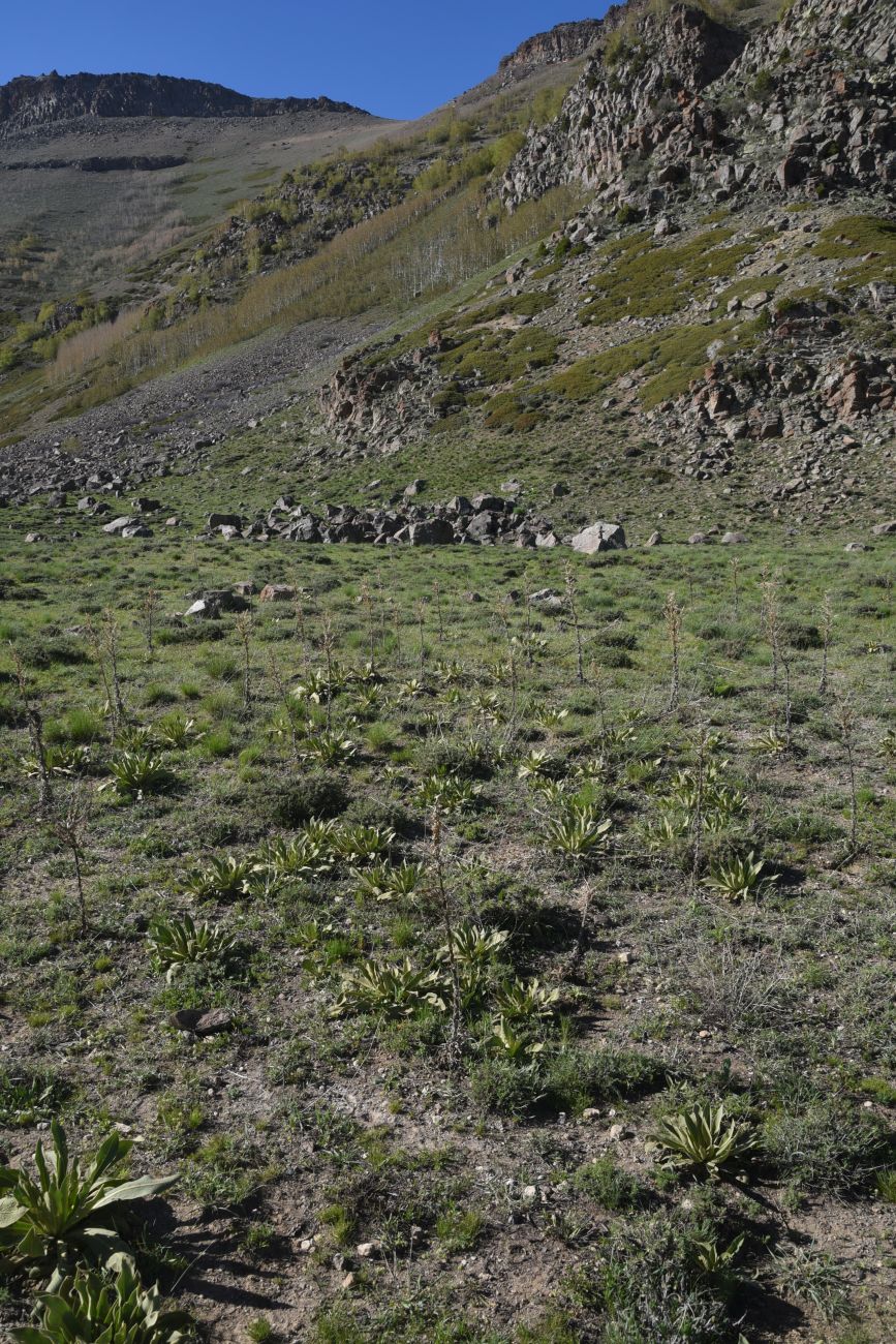 Кальдера Немрут, image of landscape/habitat.