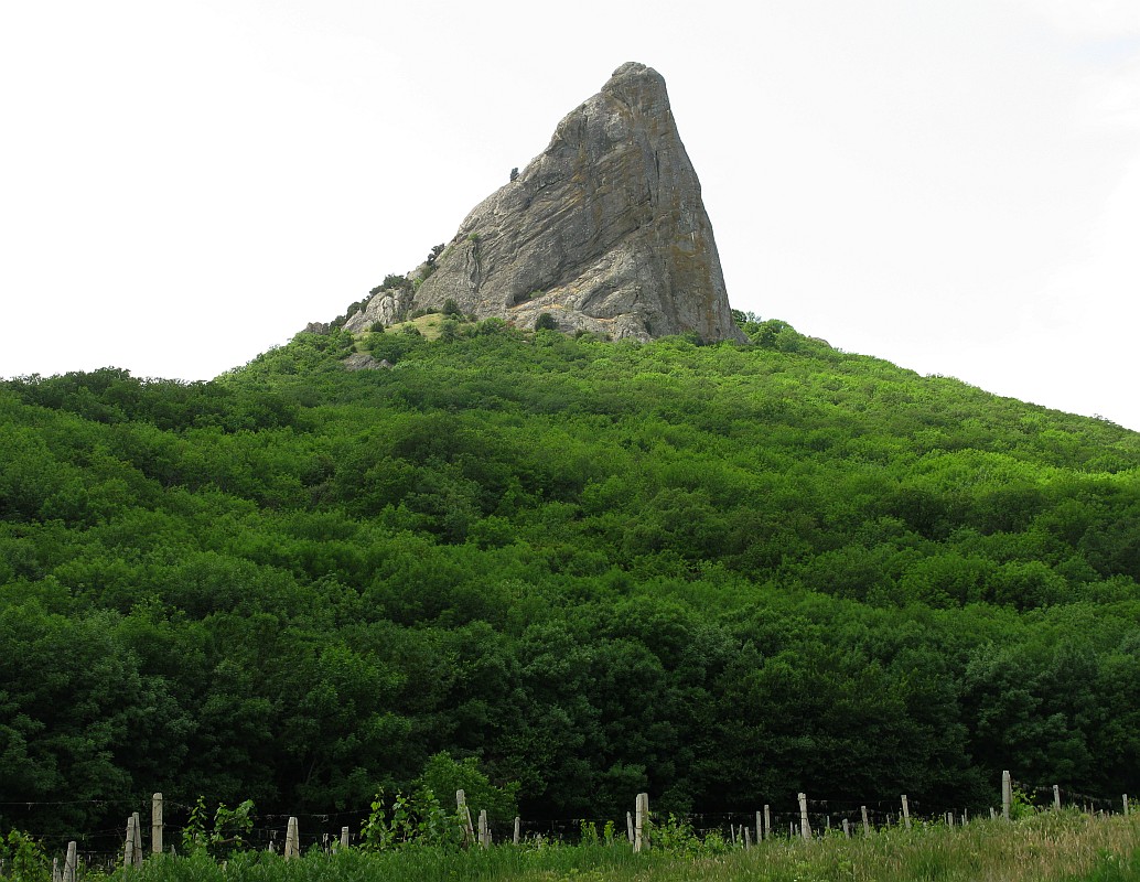 Щебетовка, image of landscape/habitat.