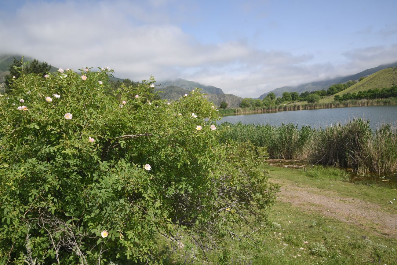 Озеро Цунда, image of landscape/habitat.