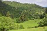 Image of landscape