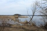 Image of landscape