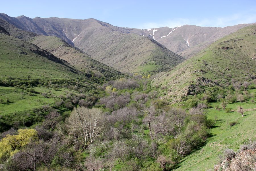 Хаятсай, image of landscape/habitat.