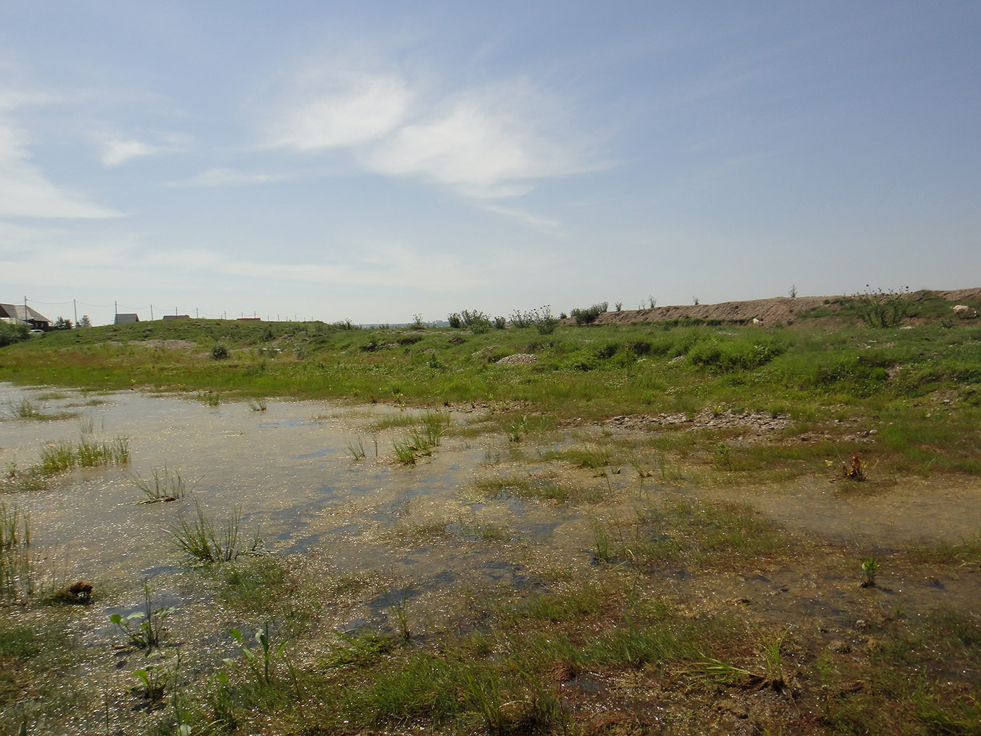 Позднякова, image of landscape/habitat.