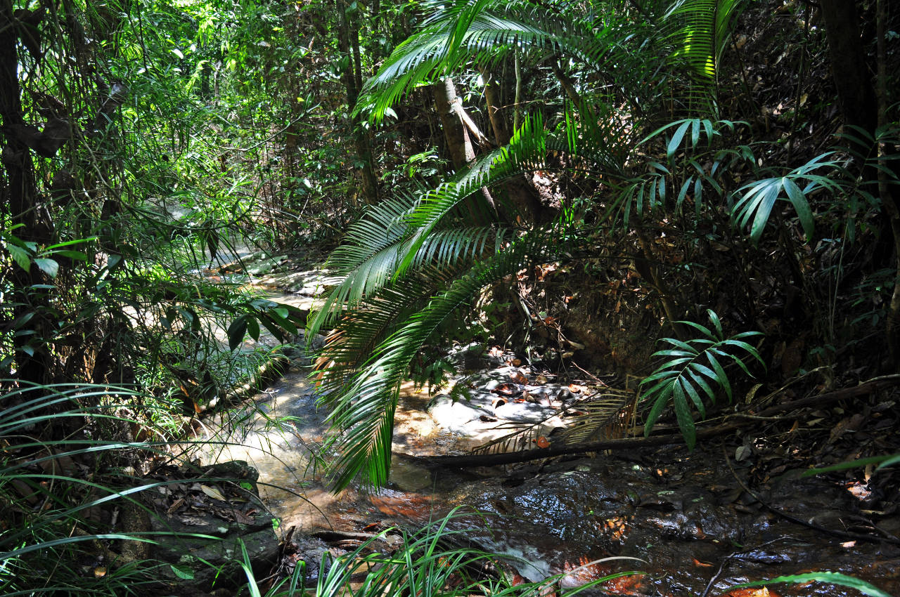 Национальный парк Пенанг, image of landscape/habitat.