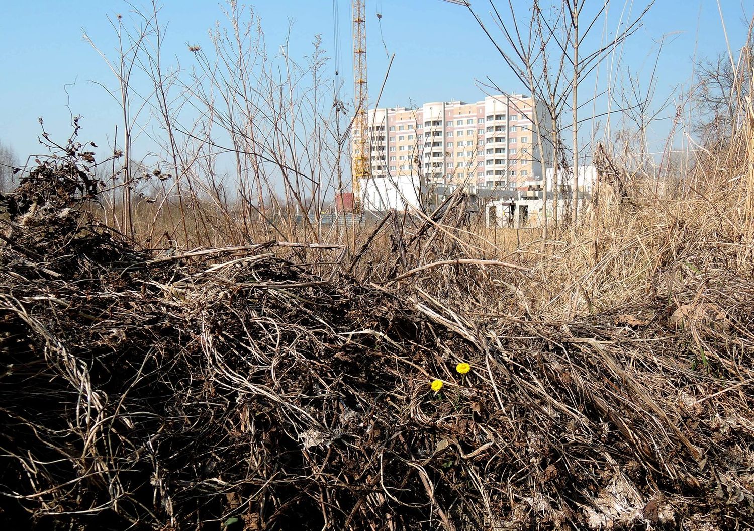 Электрогорск и его окрестности, изображение ландшафта.