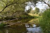 Image of landscape