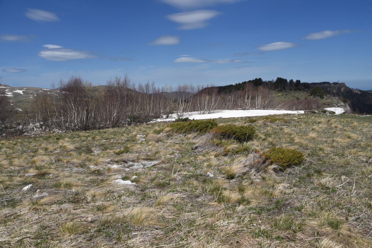 Окрестности ретранслятора, image of landscape/habitat.