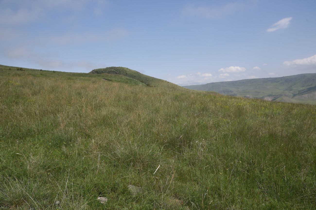 Окрестности крепости Тмогви, image of landscape/habitat.
