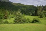 Image of landscape