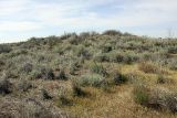 Image of landscape