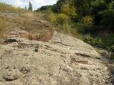 Image of landscape