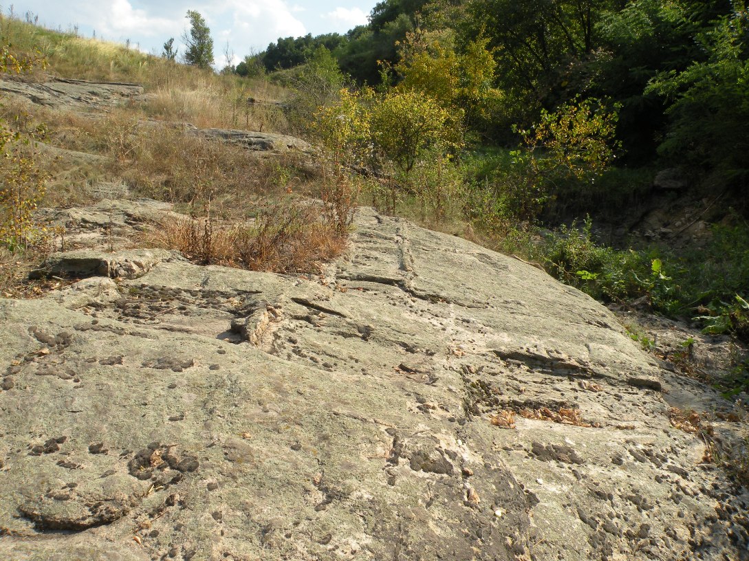 Балка Новогригоровская, image of landscape/habitat.