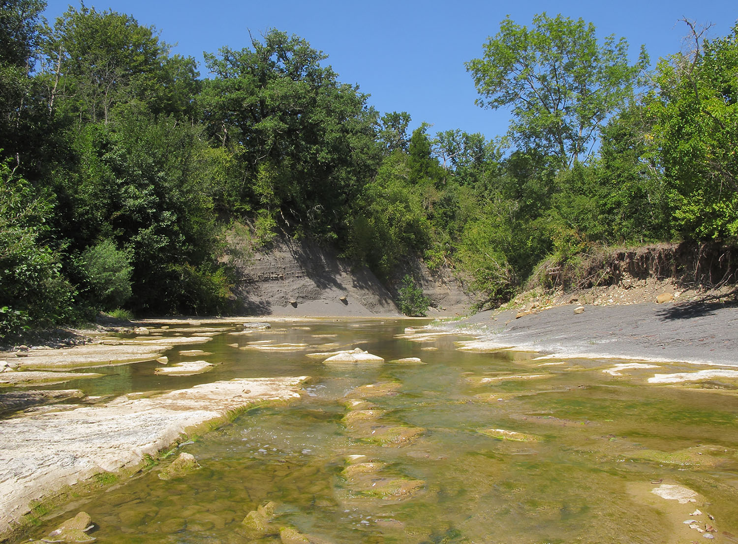 Абин близ Эриванской, image of landscape/habitat.