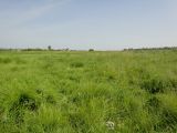Image of landscape