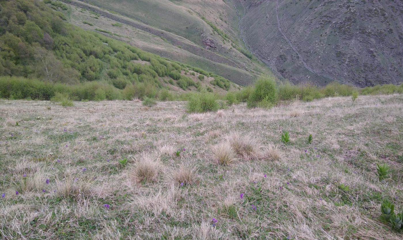 Гора Казбек, изображение ландшафта.