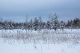 Апсарёвское урочище, image of landscape/habitat.