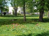 Городской сад, image of landscape/habitat.