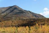 Image of landscape