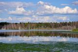 Окрестности села Гуселетово, image of landscape/habitat.