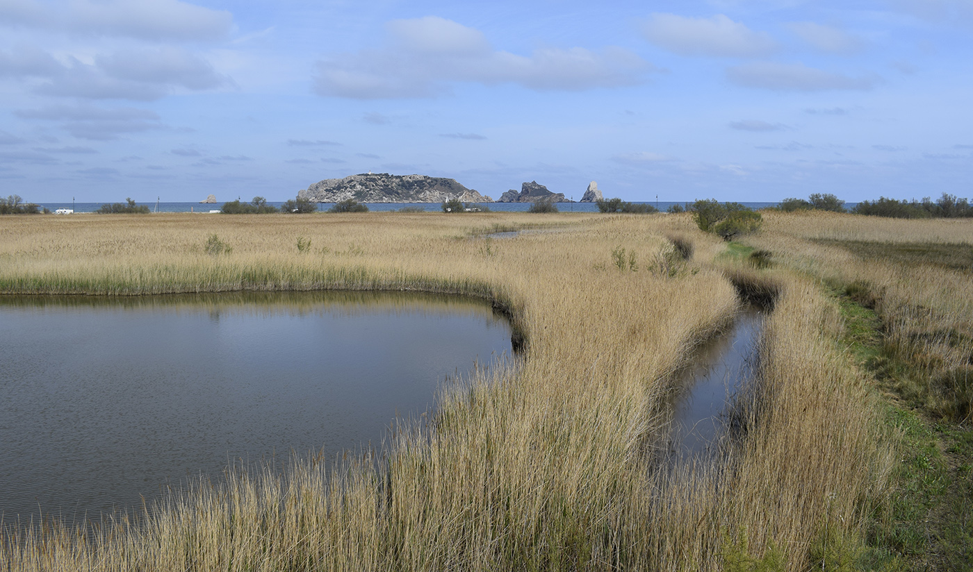 Низовья реки Тер, image of landscape/habitat.