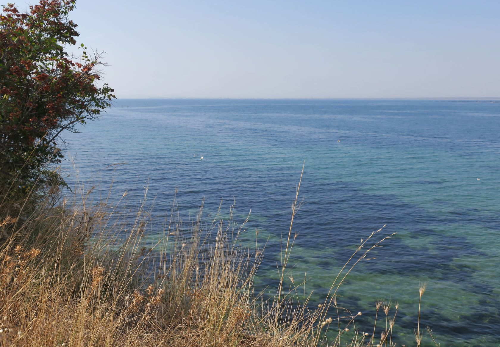 Дюны Несебра, image of landscape/habitat.