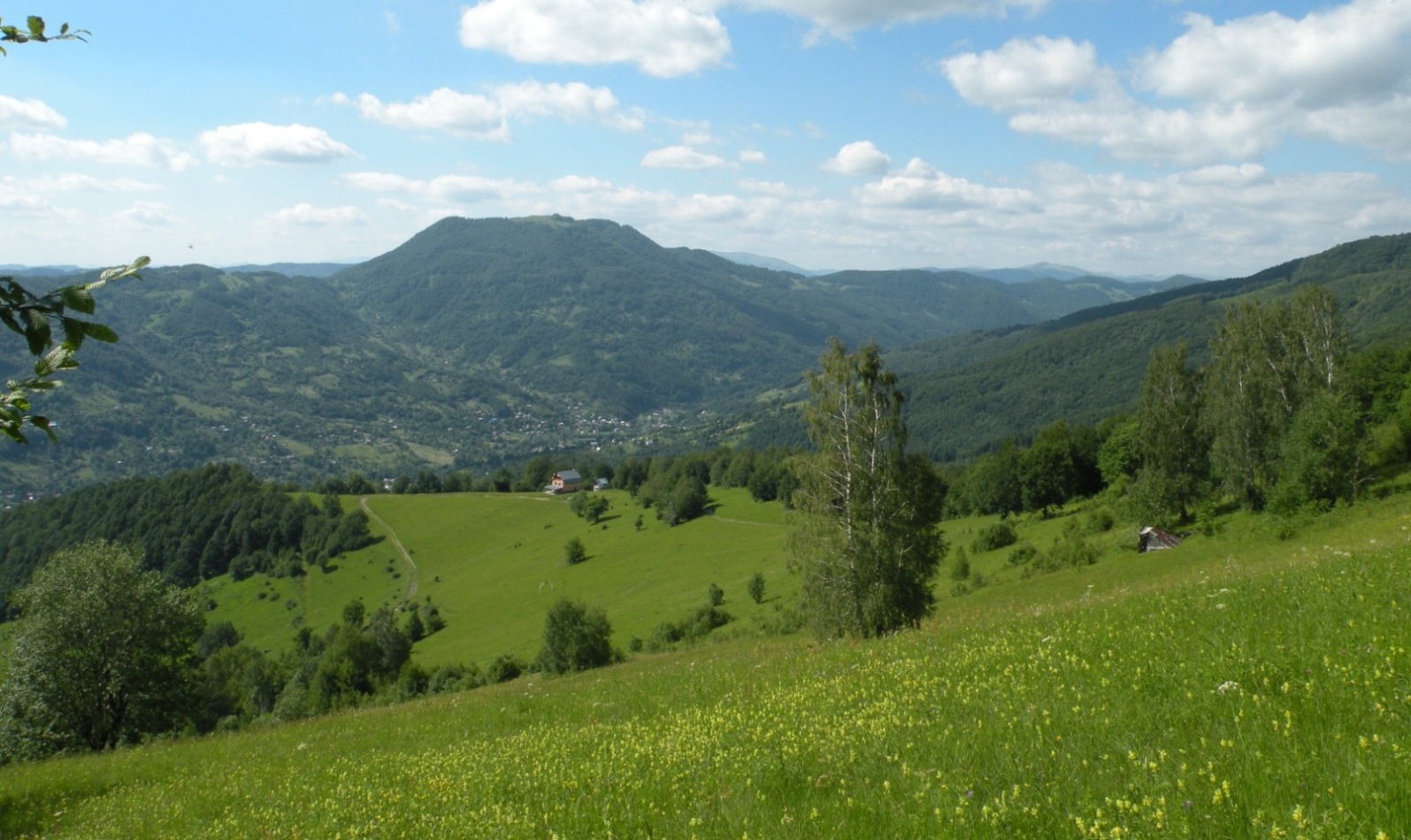 Косовская поляна, изображение ландшафта.