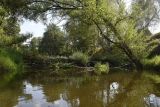 Image of landscape