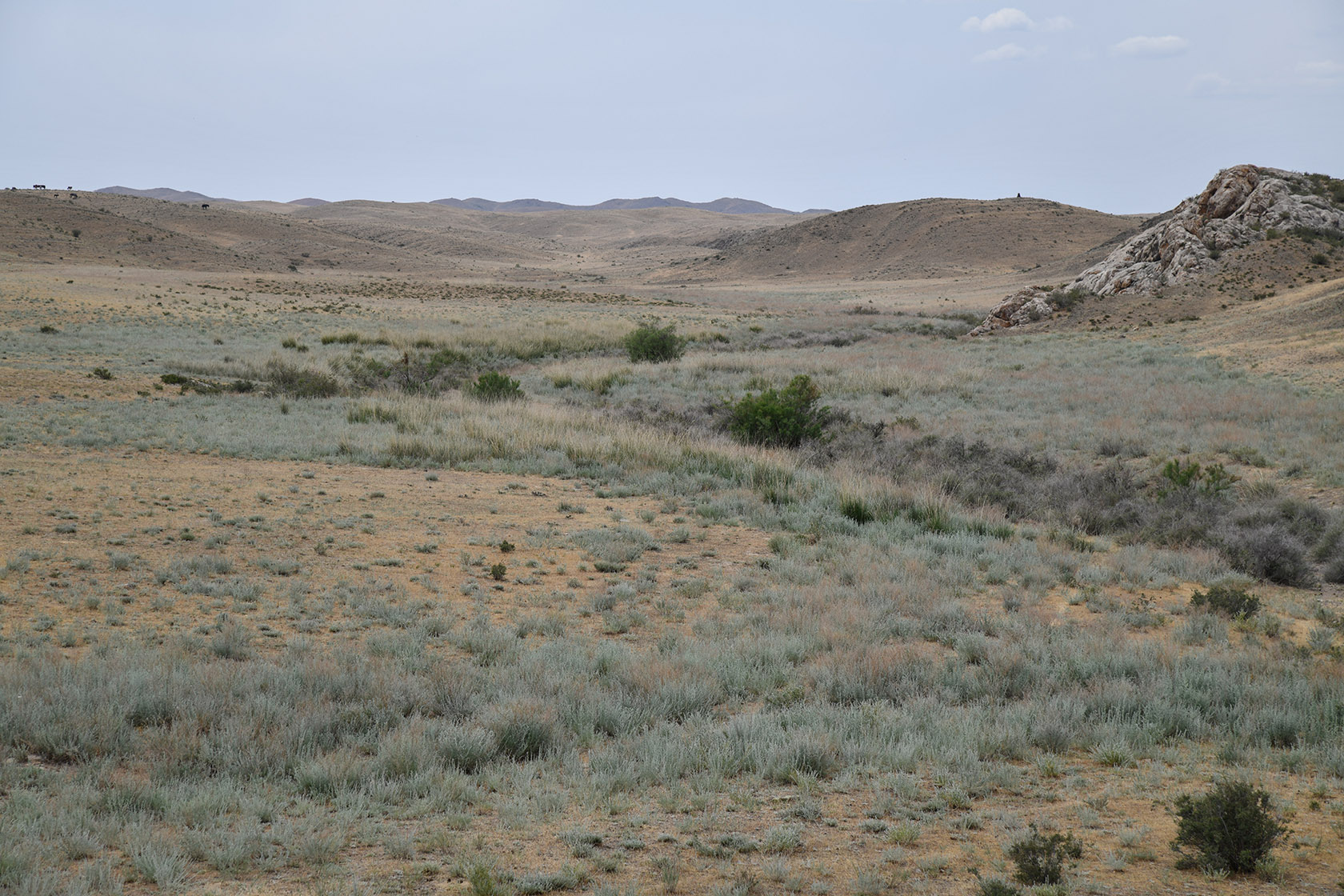 Ак-Чеку, изображение ландшафта.