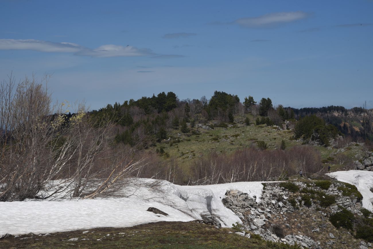 Окрестности ретранслятора, изображение ландшафта.