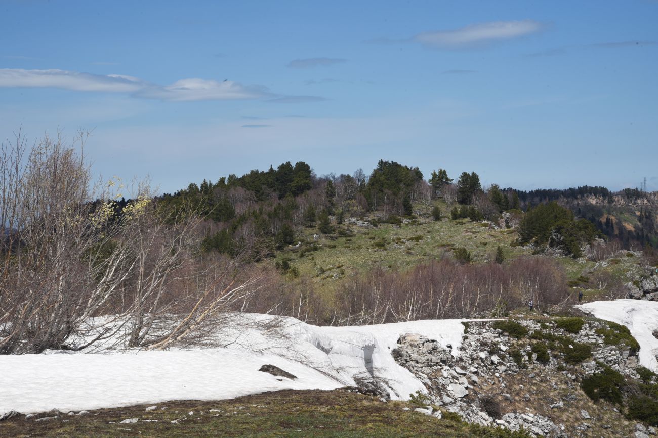 Окрестности ретранслятора, image of landscape/habitat.
