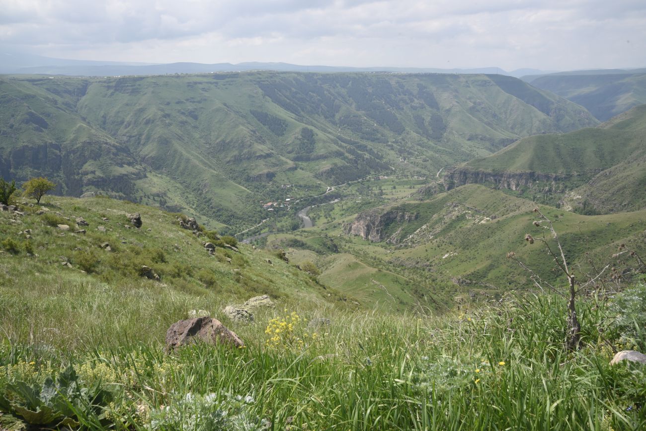 Окрестности Зеда-Тмогви, image of landscape/habitat.