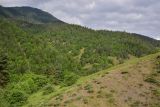 Image of landscape
