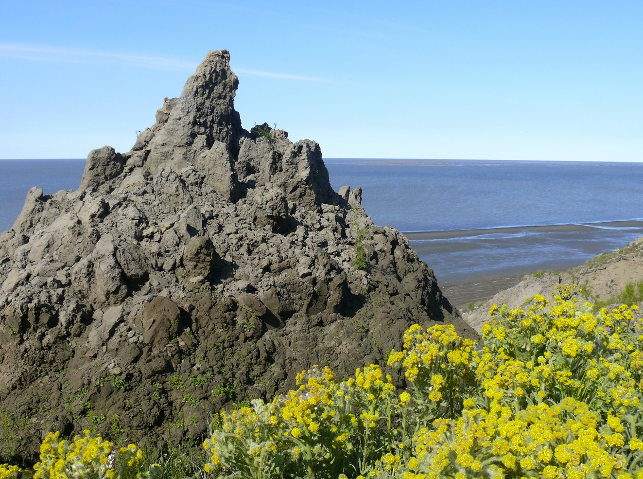 Острова Янского залива, изображение ландшафта.