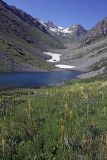 Image of landscape