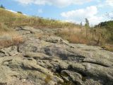 Image of landscape
