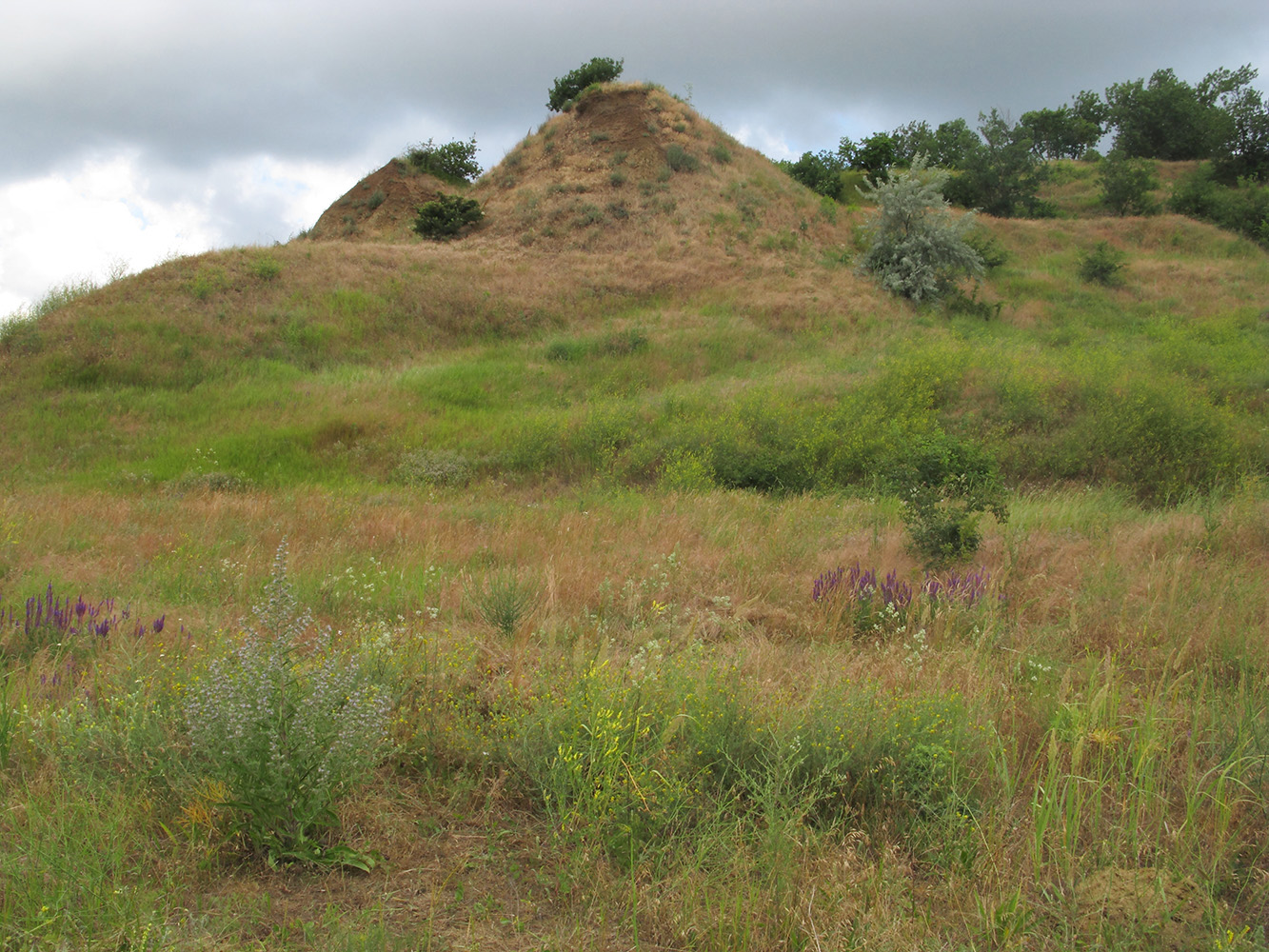 Дубовый Рынок, image of landscape/habitat.