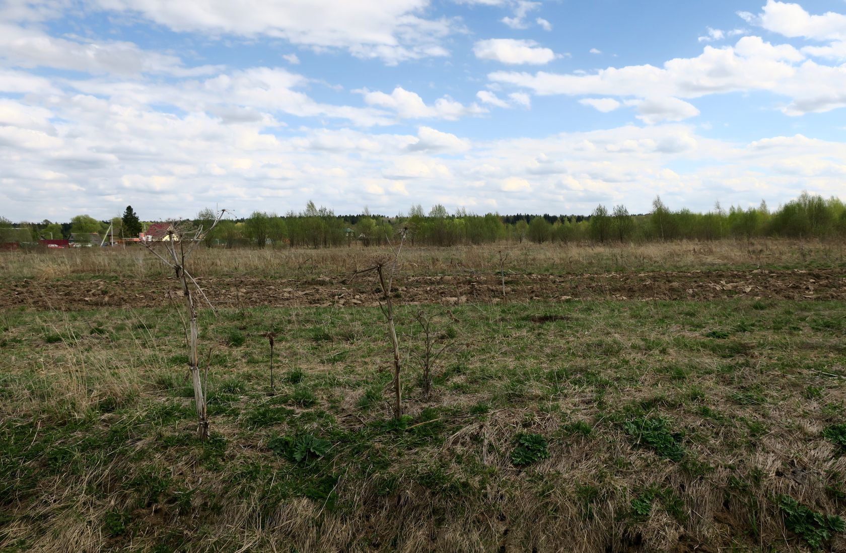 Ярцево, image of landscape/habitat.