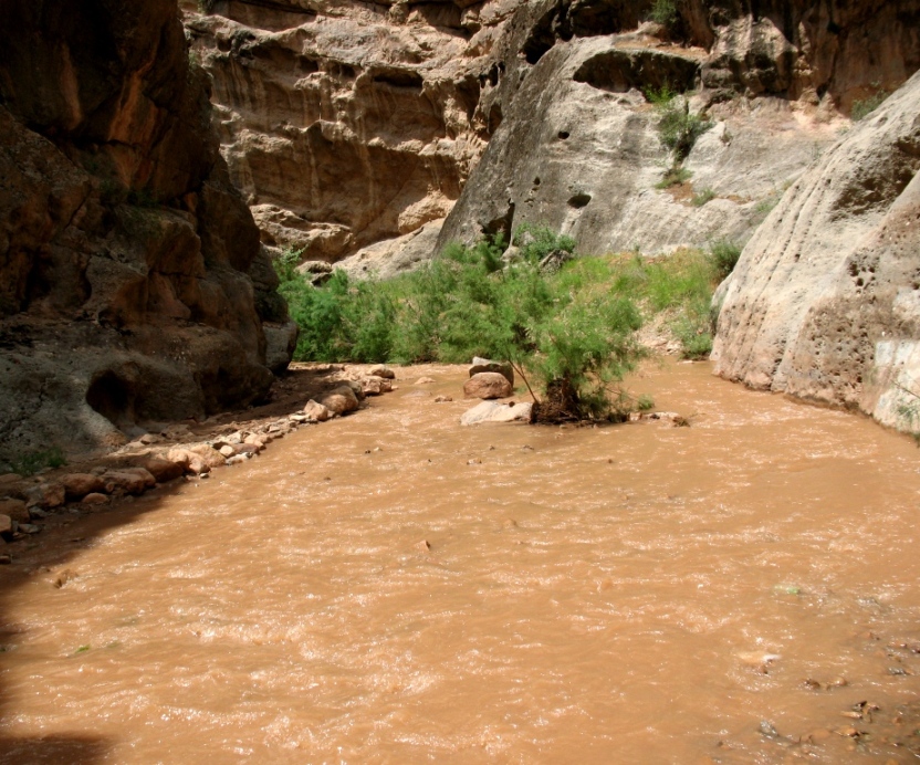 Кугитанг, image of landscape/habitat.