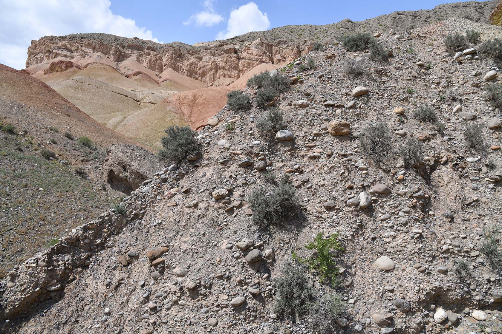 Исфара, image of landscape/habitat.