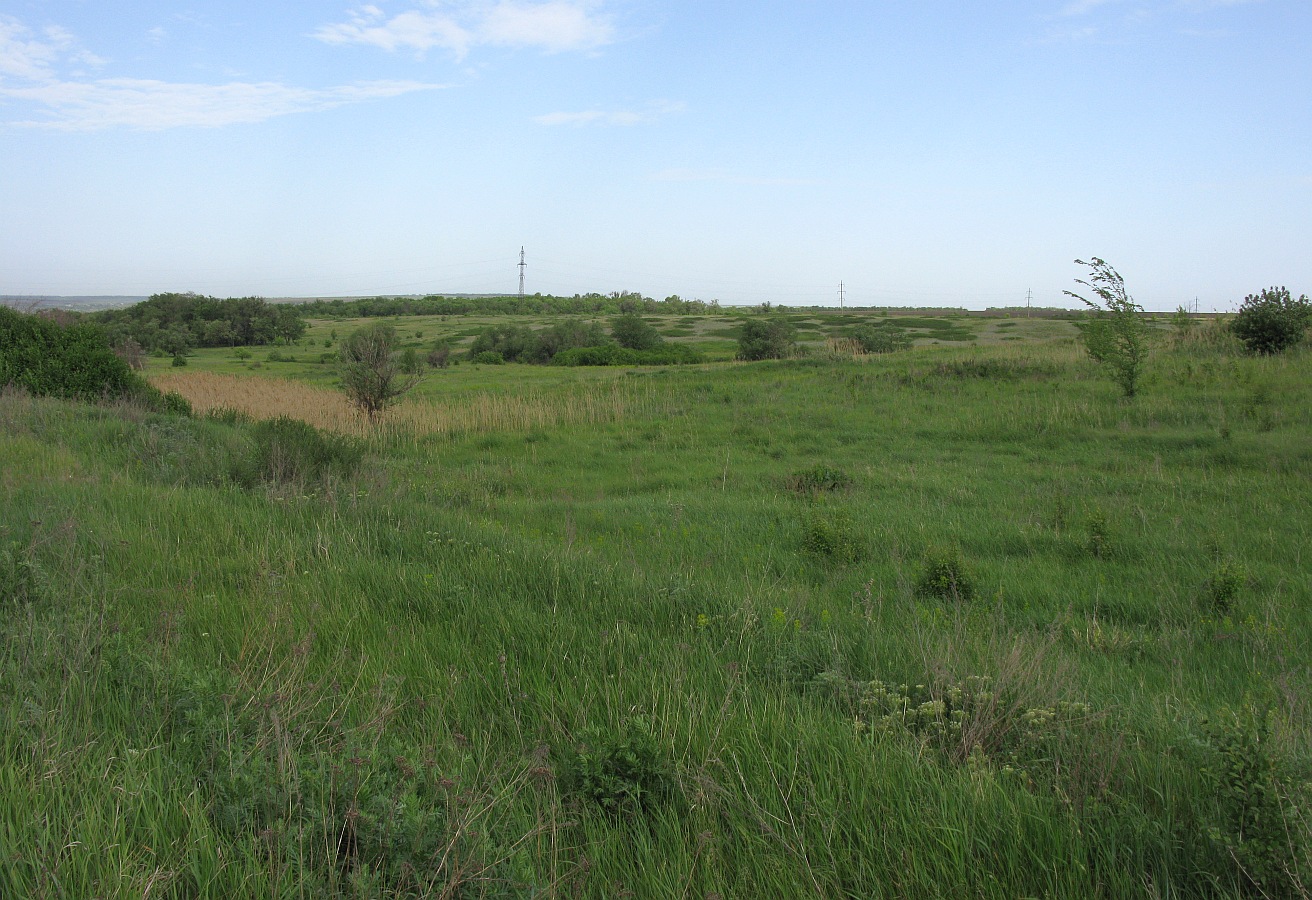 Глубокий, image of landscape/habitat.